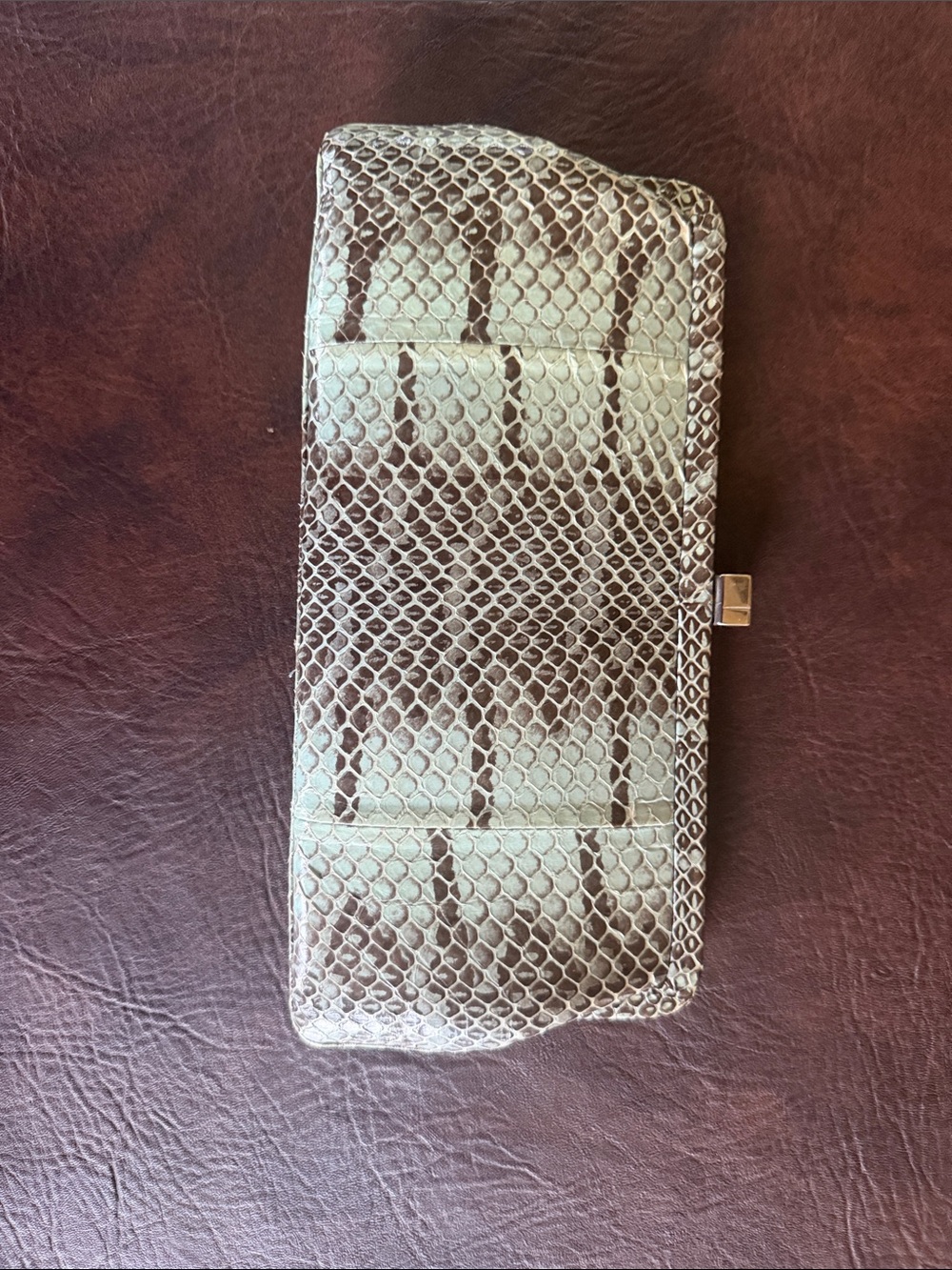 Reptile-Texture Clutch in Pale Aqua and Brown